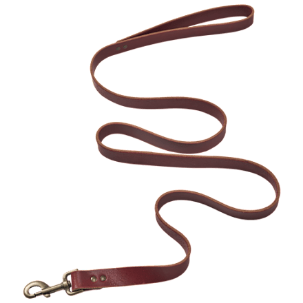 Bass Pro Shops Flat Leather Leash for Dogs