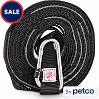 EveryYay Settin' the Pace Adjustable Recall Training Leash for Dogs
