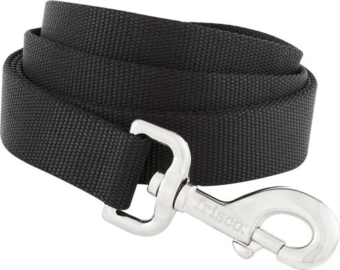 Frisco Solid Nylon Dog Leash