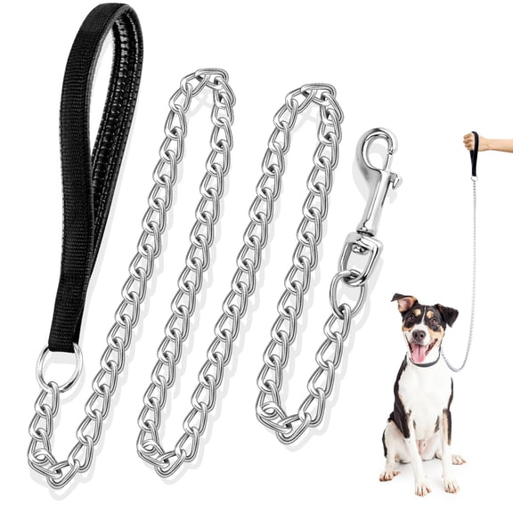 HEQUSIGNS Metal Dog Chain Leash