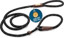 PAWBEE Slip Rope Training Dog Leash