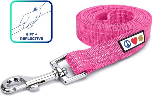 Pawtitas Reflective Dog Leash
