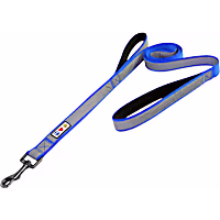 Pawtitas Reflective Two Padded Handles Dog Leash