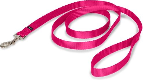 PetSafe Nylon Dog Leash