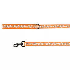 Thrills & Chills Halloween Ghost Dog Leash