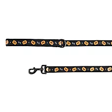 Thrills & Chills Halloween Pumpkin Dog Leash
