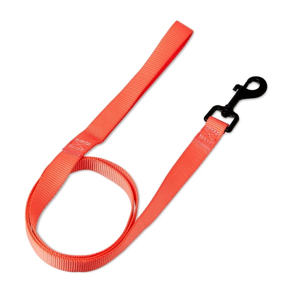 Vibrant Life 4' Polyester Standard Dog Leash