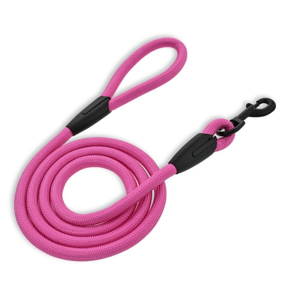 Vibrant Life 6' Padded Handle Rope Leash