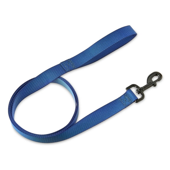 Vibrant Life 6' Solid Polyester Leash