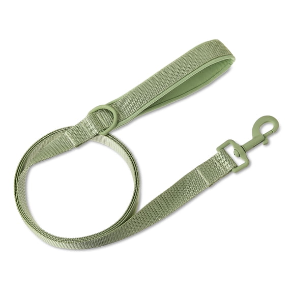Vibrant Life Neoprene Cushioned Dog Leash