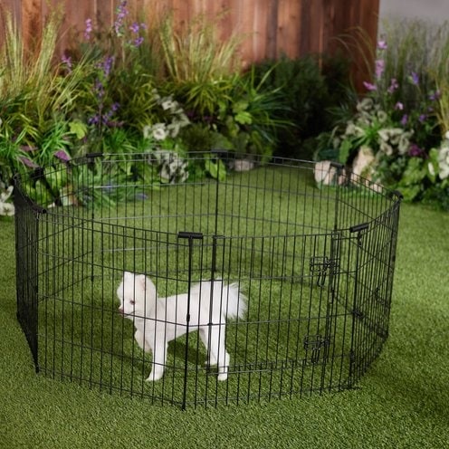 Frisco Wire Exercise Pen with Step-Through Door