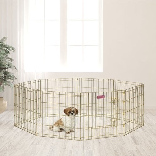 MidWest Gold Zinc Exercise Pen with Step-Thru Door
