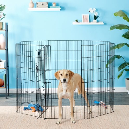 Petmate 8-Panel Wire Dog Exercise Pen with Door