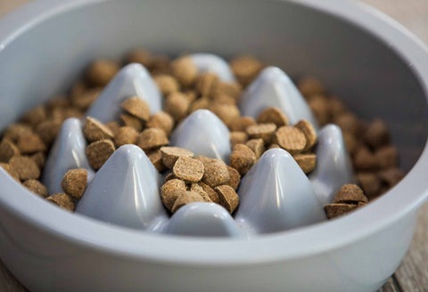 Neater Pets The Niner Slow Feed Bowl