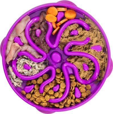 Outward Hound Fun Feeder Purple