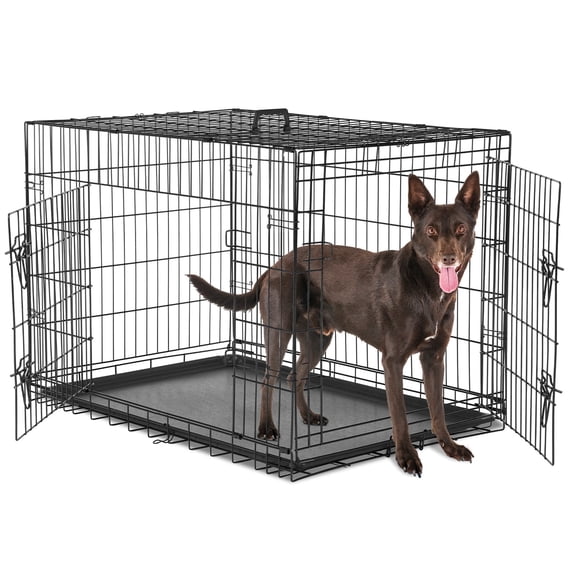 CONCETTA 36 Inch Double Door Crate