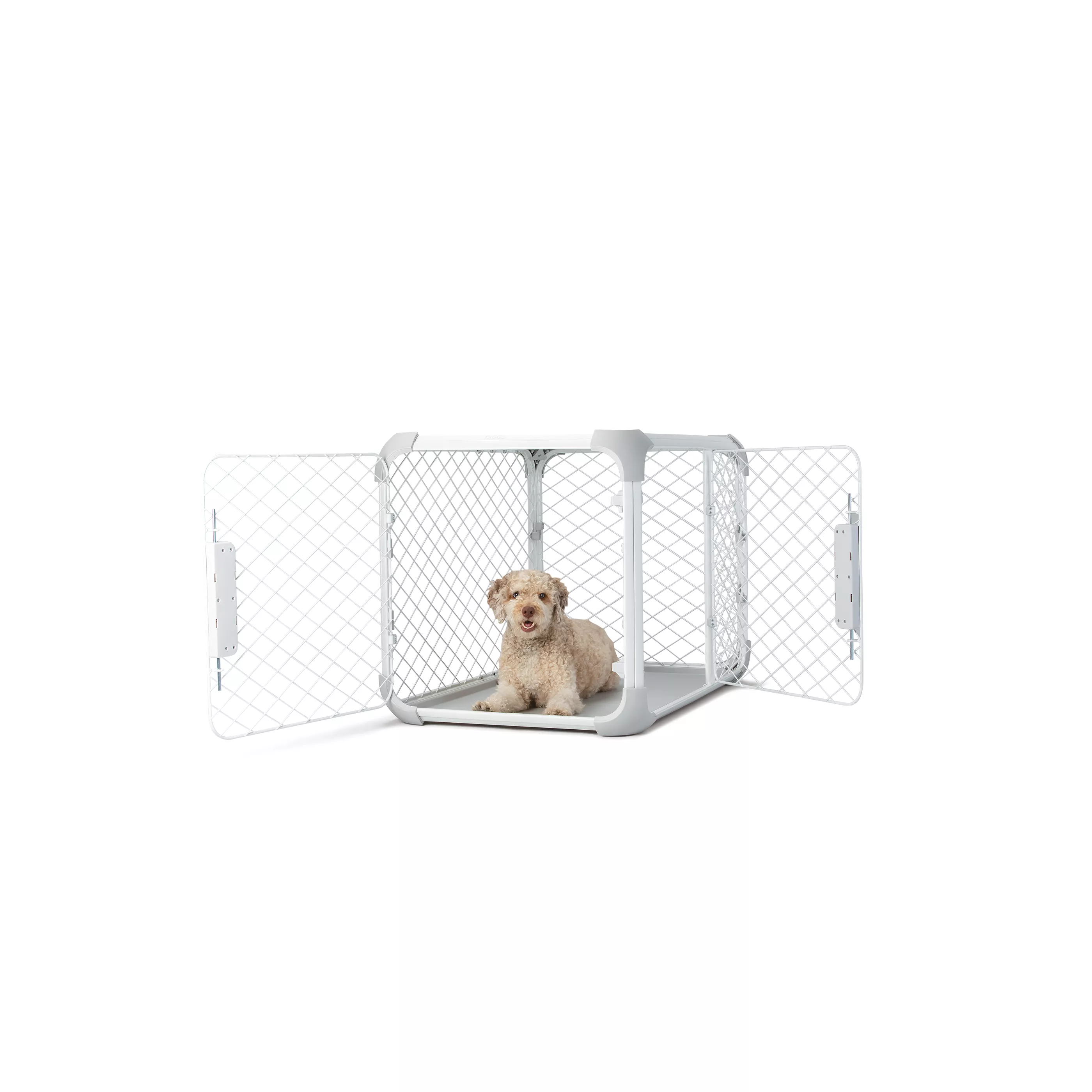 Diggs Evolv Dog Crate