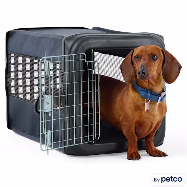 EveryYay Pop Up Travel Kennel