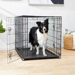 Frisco Double Door Fold and Carry Crate